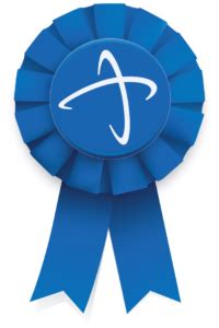 Blue Ribbon Software .